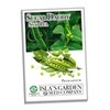 Sugar Daddy Snap Pea Seeds for Planting, 50+ Heirloom Seeds