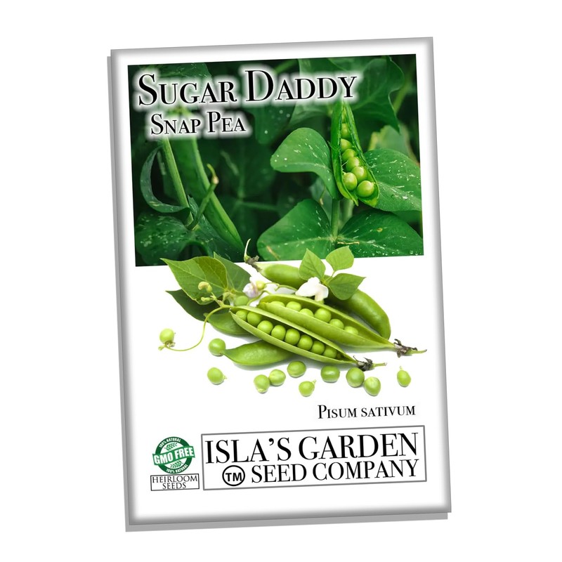 Sugar Daddy Snap Pea Seeds for Planting, 50+ Heirloom Seeds