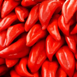 Pepper Seeds - Hot - Nu Mex College 64L - 250 Mg Packet ~45 Seeds - Capsicum annuum - Farm & Garden Vegetable Seeds - Non-GMO, Heirloom, Open Pollinated, Annual