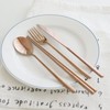 Rose gold cutlery set fork, knife, spoon, chopsticks / 로즈골드 양식기 커트러리 세트 포크 나이프 숟가락 젓가락