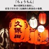 Quikaboo Red Lantern, Red Lantern, Mini Lantern, LED Light, Stalls