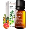 Gya Labs Purify Essential Oil Blend for Diffuser & Skin