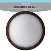Artisan Salt Company Polar Cold Water Sea Salt, Zip-Top Pouch,