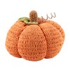 Mud Pie Crochet Lg Stuffed Pumpkins, Orange