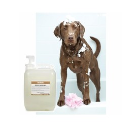 Dog Shampoo Soothing Oatmeal Pro Concentrate Tropical Coconut Scent Choose Size (1 Gallon)