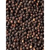Global Spices Black Peppercorns 500g Jar