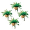 Miles Kimball Mysterious Air Fern, Set of 4 – Water