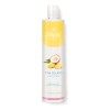 Shampoo Corporal Piña Coco Aroma Tropical Fresco Regalo