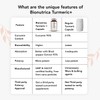 Curcumin 95 Capsules with Ginger & Black Pepper | Antioxidant