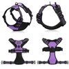 rabbitgoo Dog Harness, No-Pull Pet Harness with 2 Leash Clips,