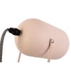 Leitmotiv Enchant Steel Table Lamp Matt Soft Pink Height 30