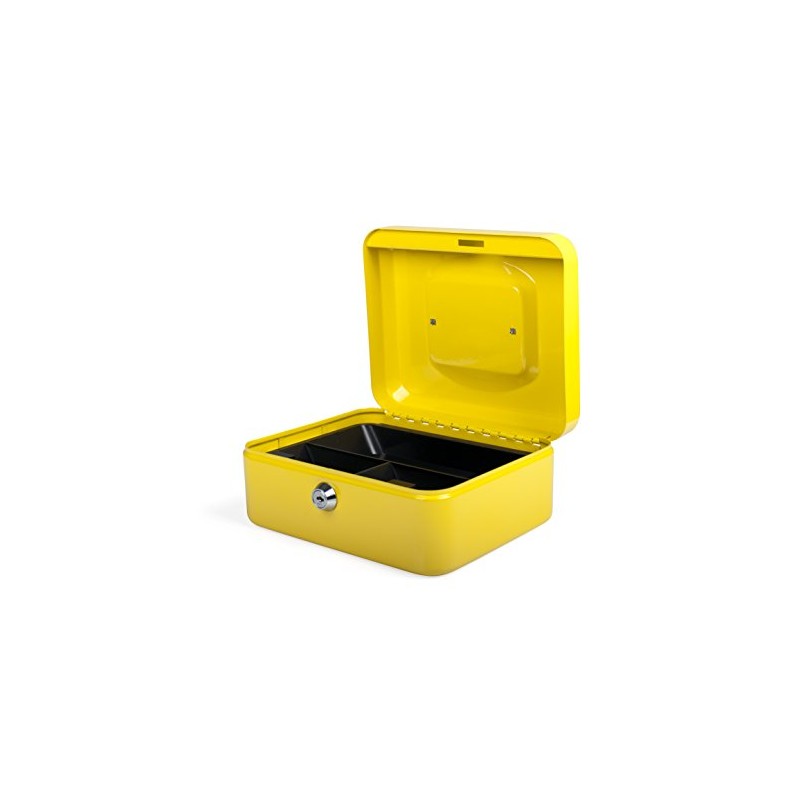 PAVO Premium 8-Inch Metal Cash Box with 2 Keys and