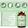QIDOSHA Willow Bark Extract with 25% Salicin, 180 Capsules in