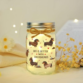 Dachshund Gifts for Women Dachshund Decor Weiner Dog Lover Gifts for Women Mason Jar Night Light
