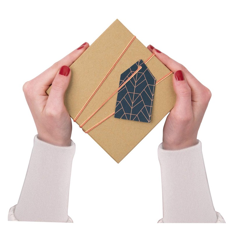 folia 3110 Cardboard Boxes in Natural Design, Pack of 12,