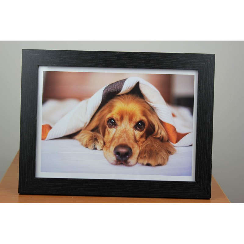 A4 Inkjet Premium Gloss Photo Paper - Heavy Weight -