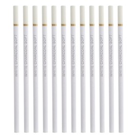 RSYHVG 10PSC White Charcoal Pencils, Charcoal Pencils Set, White for Drawing,Set for Artists Highlight Sketch Pencil for Drawings for Art Craft Drawing Sketching