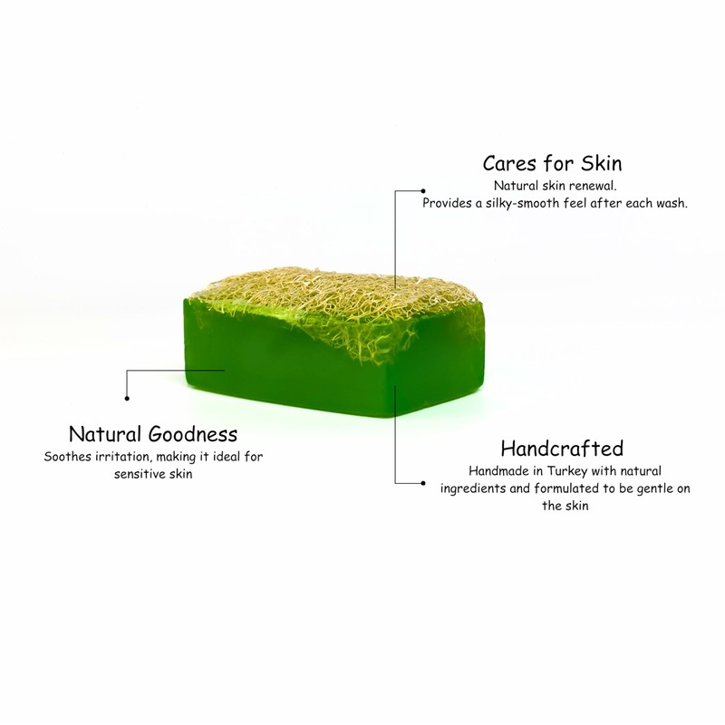 Earth Sabun Natural Handmade Pumpkin Fiber Aloe Vera Loofah for