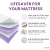 Lynmark Lynmark? Washable Bed Protector/Pad with Tucks - Double Bed