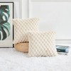 Yaertun Pack of 2 Super Soft Cozy Decorative Throw Pillow