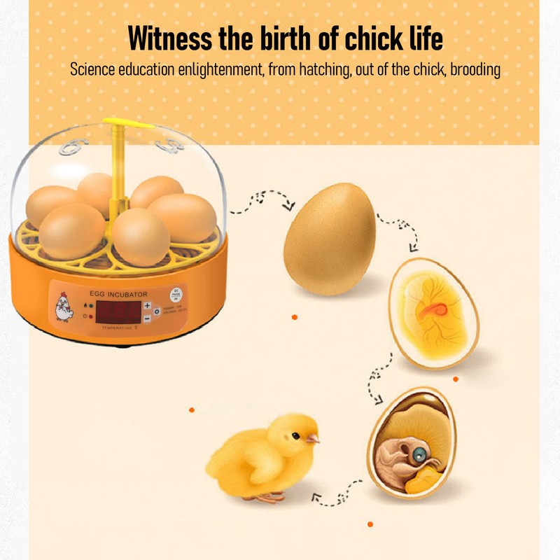 Egg Incubator 6 Eggs Smart Egg Hatchery Temperature Control Manual