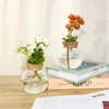 Plant Propagation Station,Hydroponic Terrarium Vase,Desktop Glass Planter Station,for Houses,Garden Decorations,ropagating