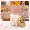 FYSUIMU 3Pcs Trendy Pink Bow Glass Storage Jars with Airtight