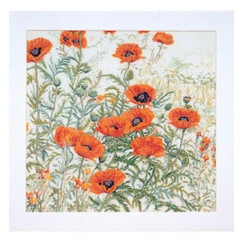 Thea Gouverneur - Counted Cross Stitch Kit - Orange Poppies - Aida - 16 Count - Embroidery Kit for Adults - DMC Embroidery Threads and Other Cross Stitch Supplies Included - 2062A