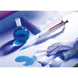 Crecia 63415 Techno-Wipes LR100-M 100 Sheets for Clean Areas Low Self Dust Cleaning Products for Clean Environments