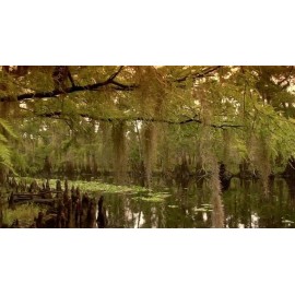 Ma Marie's Hoyt's Cologne Conjure Good Luck Anointing Ritual Hoodoo Mojo