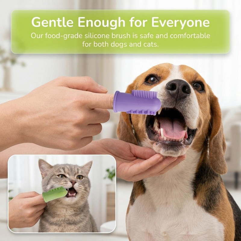 JOVYTH Spazzolino da Denti per Cane Spazzolino da Denti per