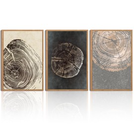 BINCUE Framed Neutral Canvas Wall Art Tree Ring Wall Art Set Modern Wood Stump Wall Decor Nature Art Wall Painting Modern Wilderness Artwork for Livingroom Office Bedroom 16"x24" Set 3