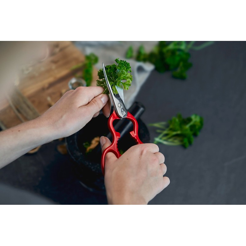ZWILLING 43924-200-0 stationery/craft scissors