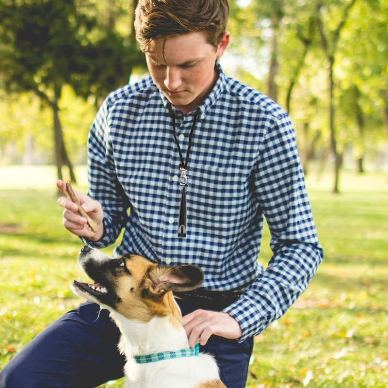 Bojueshaw Dog Training Whistle with Lanyard,High-Frequency Recall Whistle for All