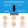 Sanhelios Curbita Bladder Caps Pumpkin Seed Oil 1,000mg - Healthy