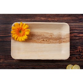 FOOGO Green 10 Disposable Palm Leaf Serving Trays | Deep Medium 11x7 inch (28x17cm)|Platters Starters Wedding Parties |Like Wooden Plates Hot Food Trays |Eco Friendly Food Trays Christmas Tableware