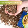 Doter Succulent & Cactus Soil Potting Mix 1qt, Chunky Dirt