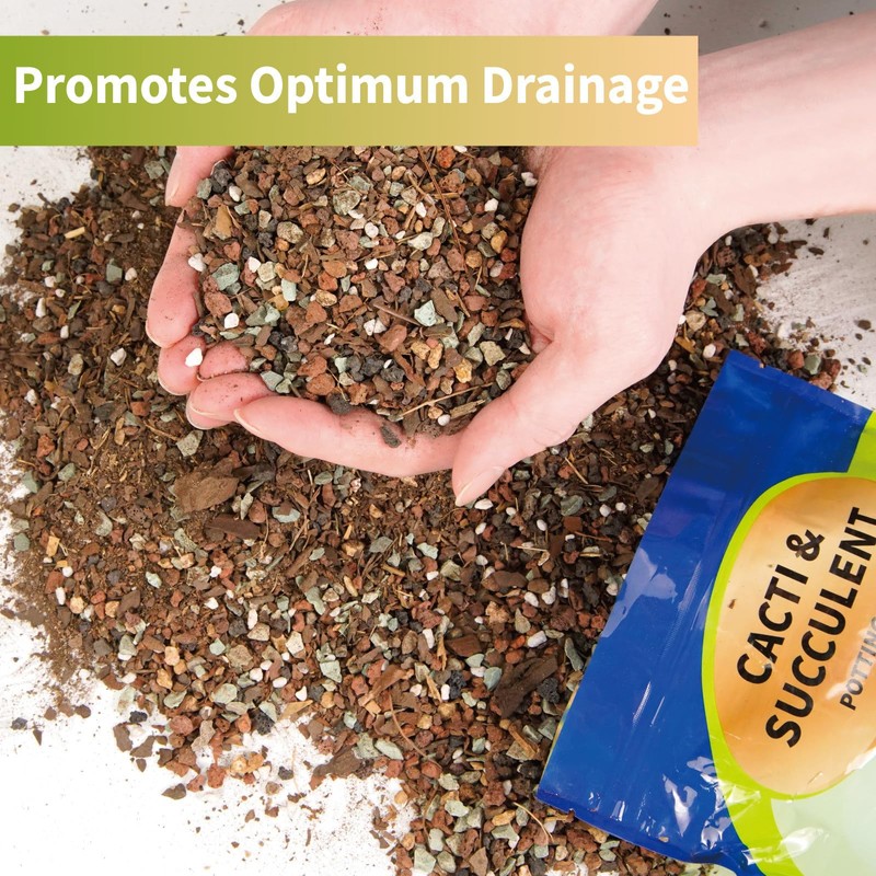 Doter Succulent & Cactus Soil Potting Mix 1qt, Chunky Dirt