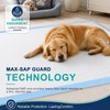 Dog Pee Pads Extra Large 55"X31" Puppy Pads for Dogs