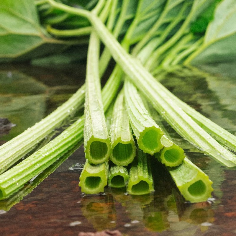 SHIRO Rawanbuki Face Wash, 5.3 fl oz (150 ml) (Without