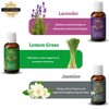 Precious Aromas Essential Oil Lavender Rose Tea Tree Rosemary Jasmine