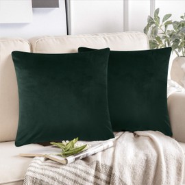 AMEHA Decorative Cushion Covers 45 x 45 cm Pack of 2 (18 x 18 Inches) Dark Green Velvet Square Throw Pillow Cases Sofa Couch Bedroom with Invisible Zipper