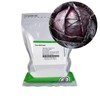 Red Acre Cabbage Seeds: 1 Lb - Non-GMO, Chemical Free