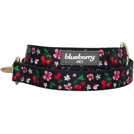 Blueberry Pet 9 Patterns Cherry Garden Black Dog Leash 5 ft x 3/4", Medium, Leashes for Dogs