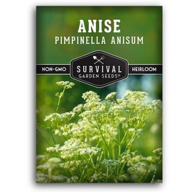 1 Pack Anise Seed for Planting with Instructions to Grow Aniseed in Your Home Herb Garden - Non-GMO Heirloom - Medicinal and Culinary - Unique Plant Seeds - Survival Garden Seeds