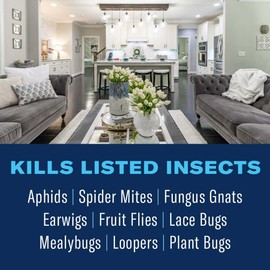 BioAdvanced Houseplant Insect & Mite Control, Ready-to-Use Fungul Disease & Fungus Gnats Killer, 24 oz