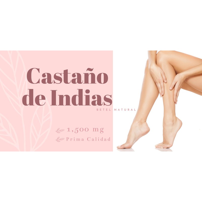 Betel Natural Premium Castano de Indias para la Circulacion 1500