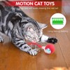 blueypet Upgraded 2025 Smart Interactive Electric Cat Toy Ball Indoor