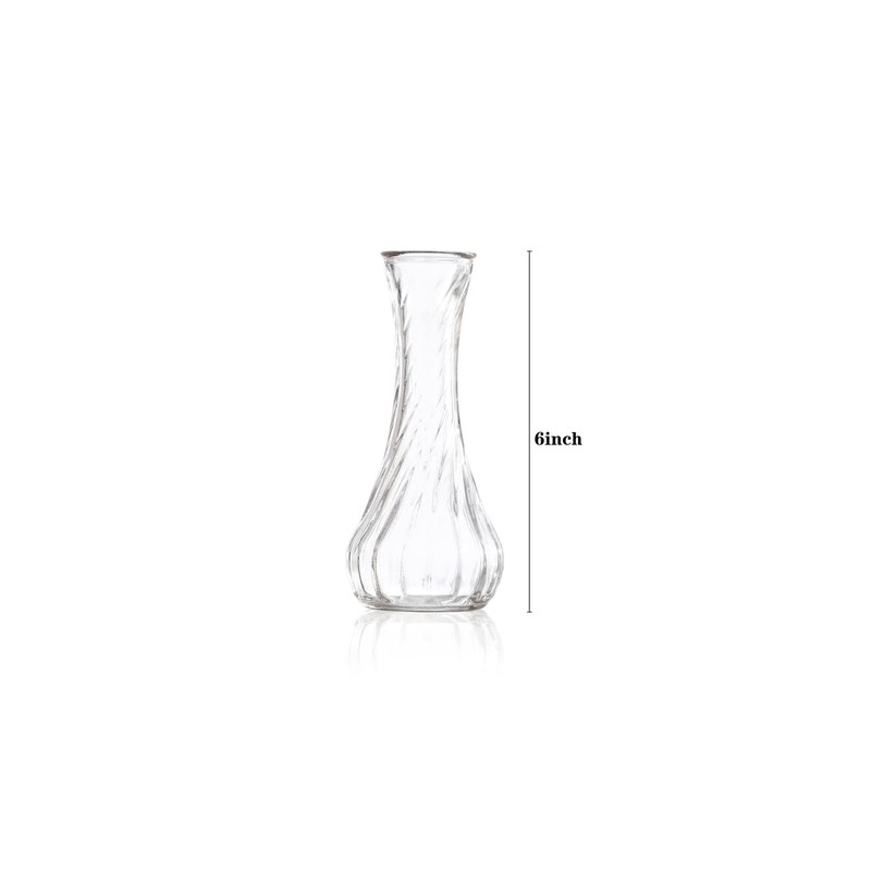 Set of 24 Glass Vase, Bud Vases in Bulk with