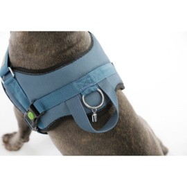 Kerbl Pet Maxi-Pet Maestro 2.0 80212 Tableware with Address Bar